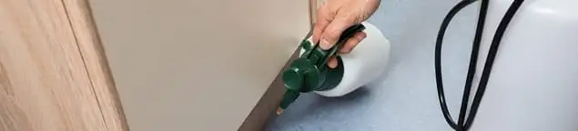 Bed bug exterminator treating baseboards and cracks with targeted spray in Santa Ana, CA