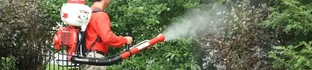 Mosquito control technician fogging shrubs and landscaping for mosquito treatment in Santa Ana, CA
