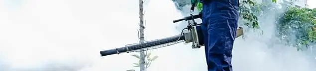 Pest control technician fogging an outdoor area for insect control in Santa Ana, CA