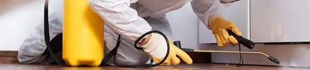 Roach exterminator treating cracks and crevices along kitchen baseboards in Santa Ana, CA