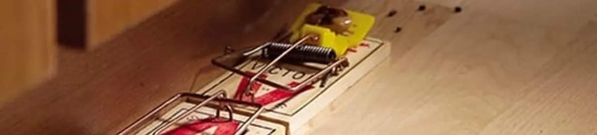 Rodent trap set indoors for rodent control and prevention in Santa Ana, CA