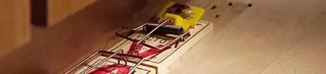 Rodent trap set indoors for rodent control and prevention in Santa Ana, CA