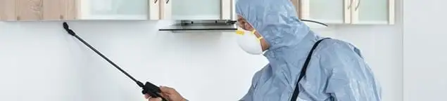 Termite treatment technician applying indoor pest control spray in Santa Ana, CA